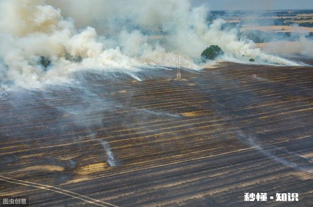 夏季丰收已来到，废弃秸秆咋处理