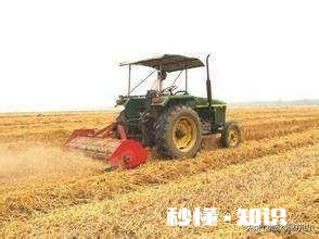 夏季丰收已来到，废弃秸秆咋处理