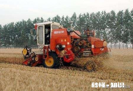 夏季丰收已来到，废弃秸秆咋处理