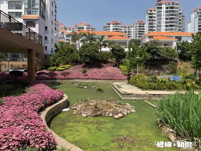 存款30万，年薪25万，怎么理财投资