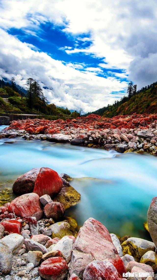 《都挺好》苏明成投资被骗、被公司辞退、离婚,这些都与他性格有关吗