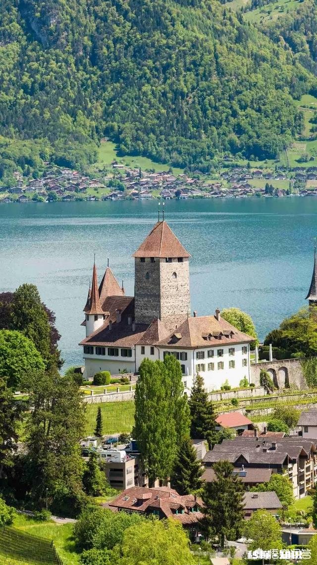 《都挺好》苏明成投资被骗、被公司辞退、离婚,这些都与他性格有关吗