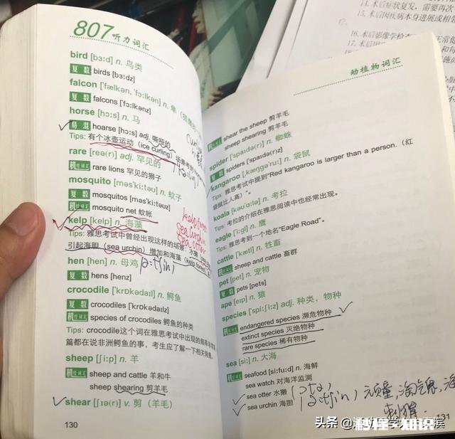 背单词如何选用合适的参考书