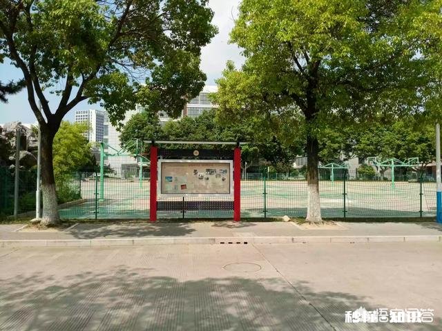 一个即将退休的教师如何成为今日头条的优质教育领域原创作者