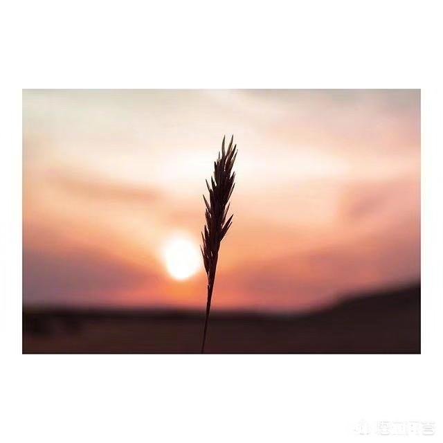 你喜欢这样的人吗