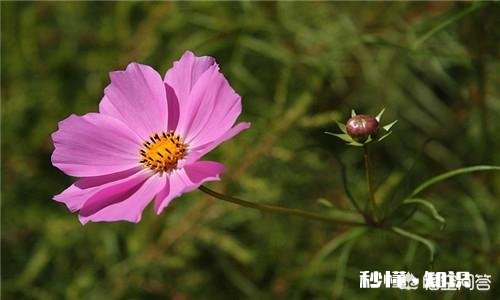 怎样合理利用多媒体进行教学有哪些好处