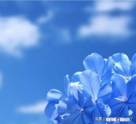 你知道自己抑郁症的根本原因吗