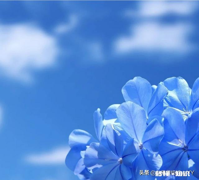 你知道自己抑郁症的根本原因吗