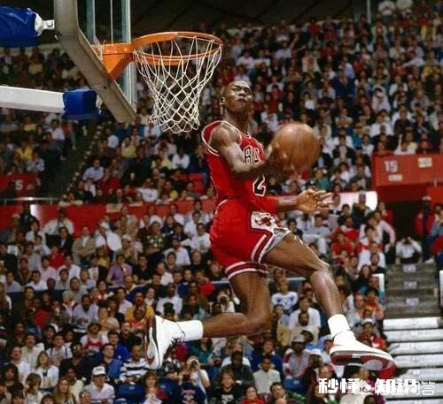 NBA中有哪些球员从来没有撞到过新秀墙