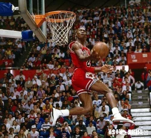 NBA中有哪些球员从来没有撞到过新秀墙