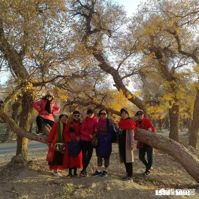 有人经常写游记么外出旅游遇到想写下来的时候该怎么迅速记忆