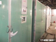 鹅蛋要孵多少天