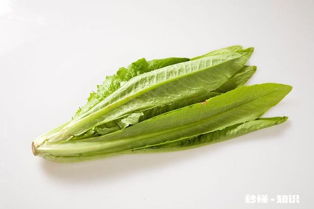 油麦菜能和鸡腿香菇搭配吗能好吃吗