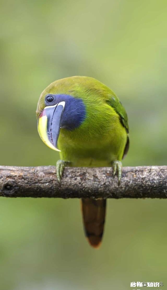 两个人谈恋爱几个月了，突然女方提出第一个孩子必须跟她姓，如何处理