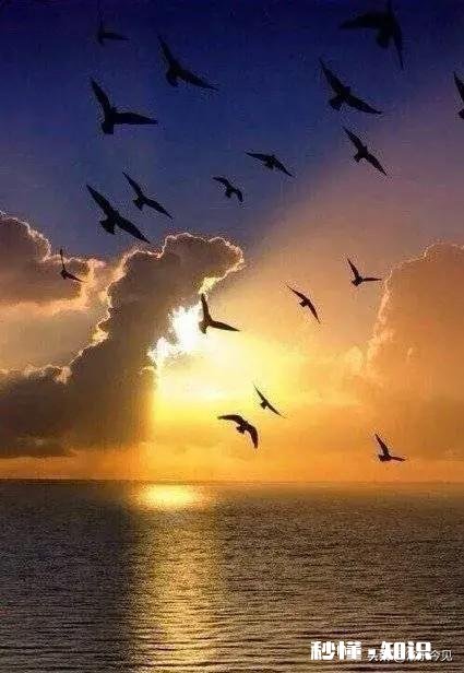 两个人谈恋爱几个月了，突然女方提出第一个孩子必须跟她姓，如何处理