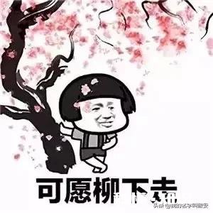 音乐上有什么有趣的表情包和图片