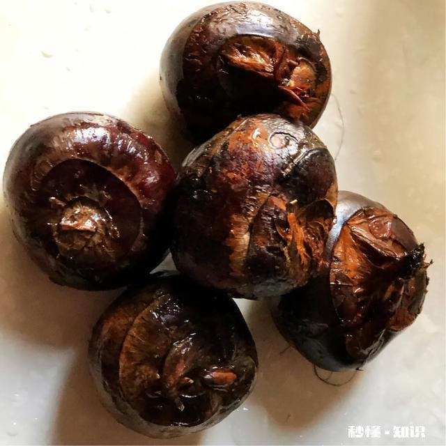 如何制做蒸肉饼