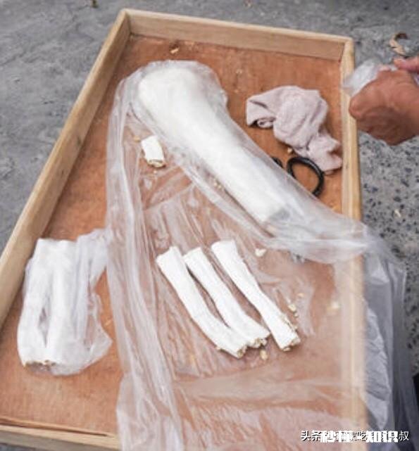 老家的零食有哪些