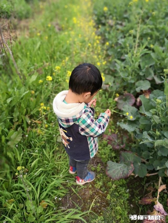 孩子遇到困难，该怎么引导