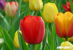 教师把自己的孩子放在自己的班级是否合适