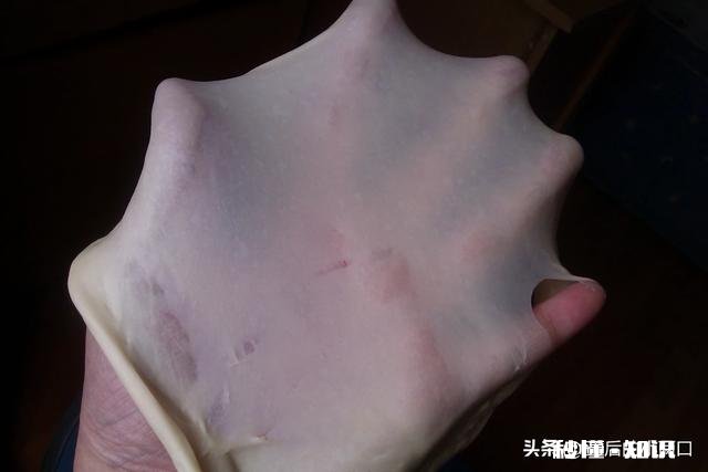 做面包不揉出膜可以吗