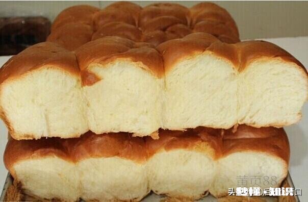 做面包不揉出膜可以吗