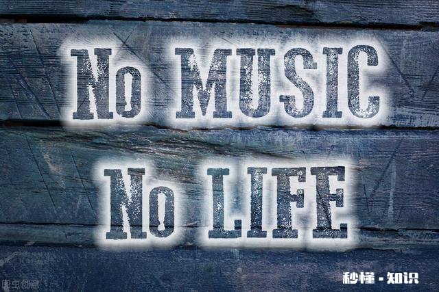 你有没有特别喜欢的句子