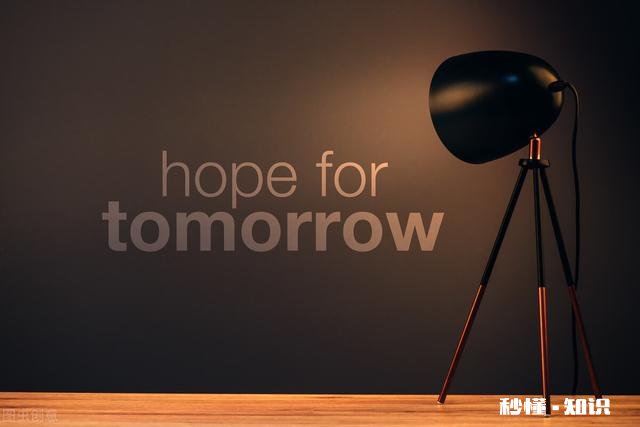 你有没有特别喜欢的句子