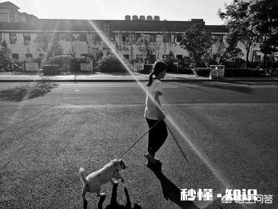 男士养猫遛狗是一种什么心态