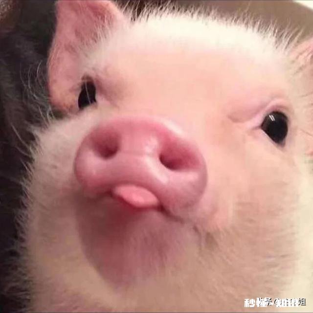 内向不自信的你,现在怎么样了