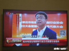 内向不自信的你，现在怎么样了