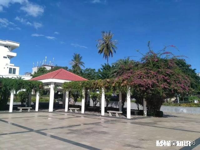 海南省以前归广东省管辖,建省后,为什么大多海南人讲闽南语