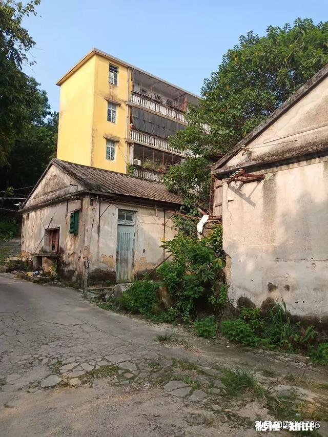 海南省以前归广东省管辖,建省后,为什么大多海南人讲闽南语