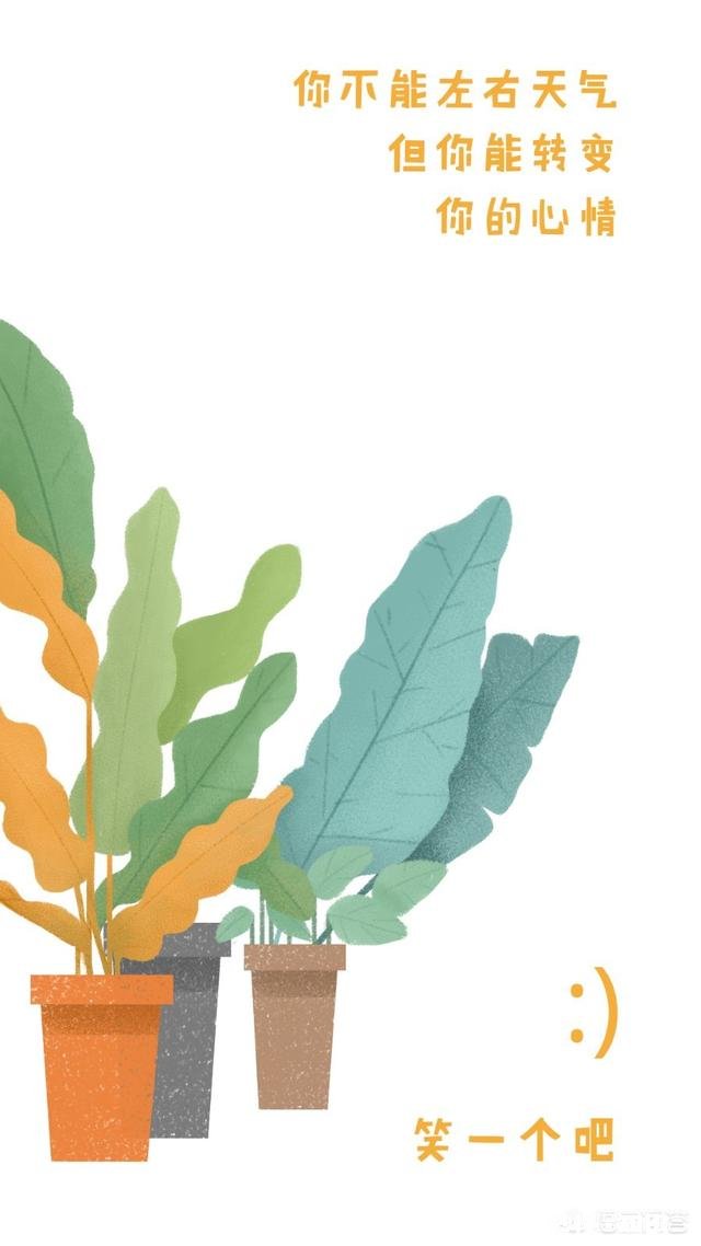 如果你的爱情失去新鲜了，你会怎么办