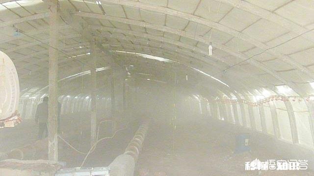 天气变暖，养殖场如何解决苍蝇成灾的问题