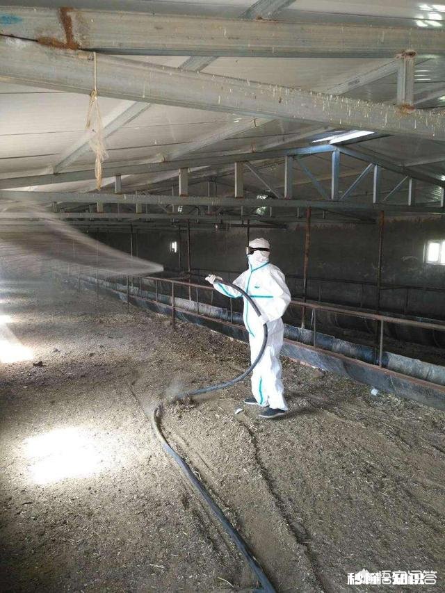 天气变暖，养殖场如何解决苍蝇成灾的问题