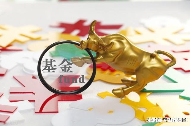 家庭主妇，金融小白，到底能不能投资一下基金