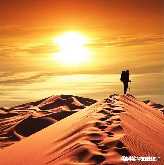 人一生想要成功，选择比努力重要吗