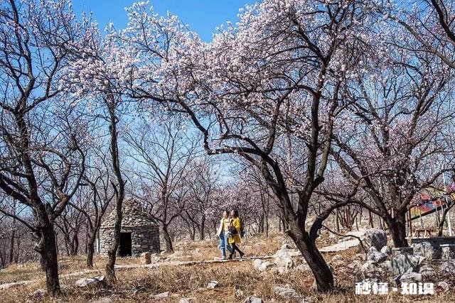 小学语文教学侧重点在哪里，请大家发表高见