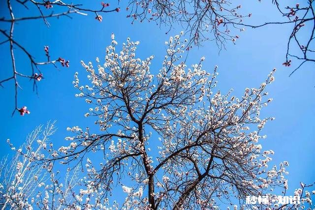 小学语文教学侧重点在哪里，请大家发表高见