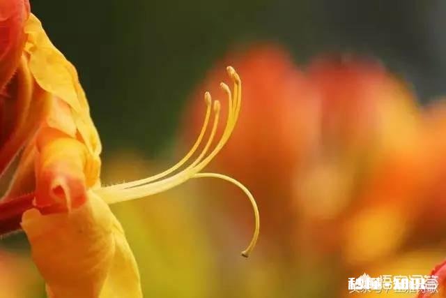 教师月工资开到一万，除了节假日，一天24小时在学校守着，你愿意吗