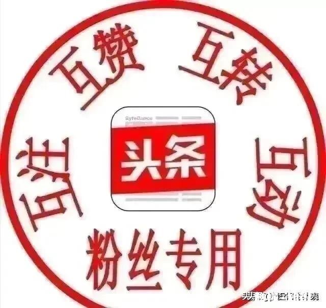 你为什么玩今日头条