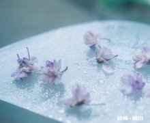 2021年年底我上高中，那个时候买手机应该买4G还是5G为何