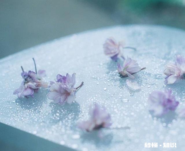 2021年年底我上高中，那个时候买手机应该买4G还是5G为何