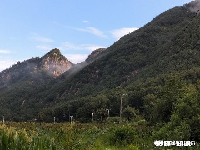 在西瓜视频上,如何快速提高视频的播放量和推荐量