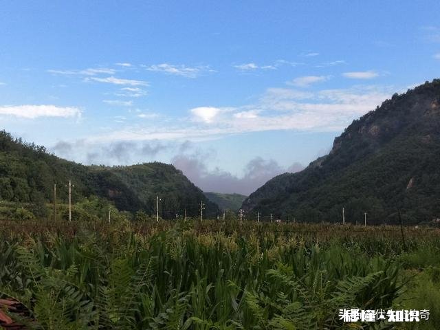 在西瓜视频上,如何快速提高视频的播放量和推荐量