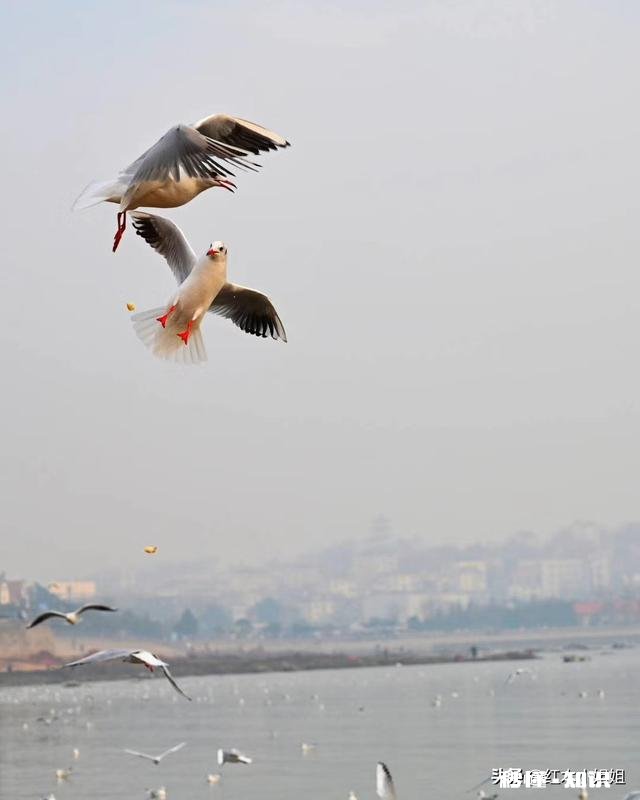 疫情过后，我们人类应该如何保护好自己