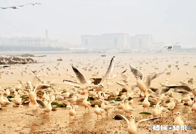 疫情过后，我们人类应该如何保护好自己