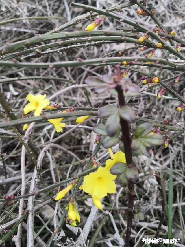 疫情过后，我们人类应该如何保护好自己