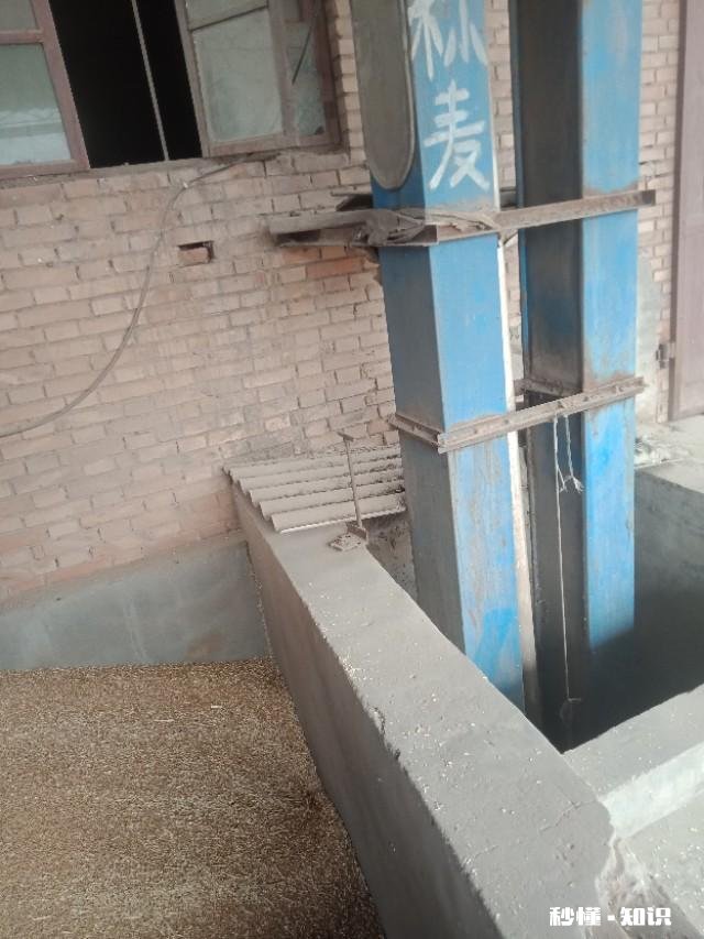 在农村自己生产发酵饲料来卖有前途吗